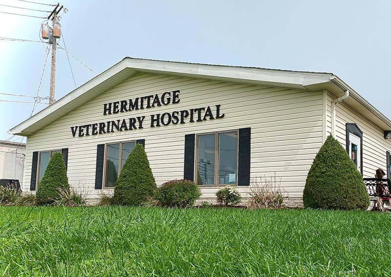 Carousel Slide 3: Hermitage Veterinary Care